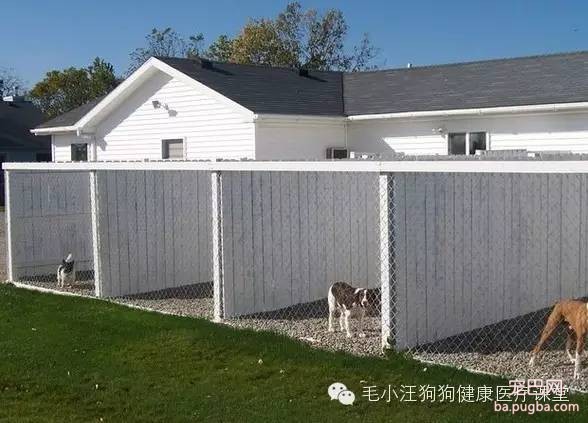 犬舍狗场参考，真漂亮-21.jpeg