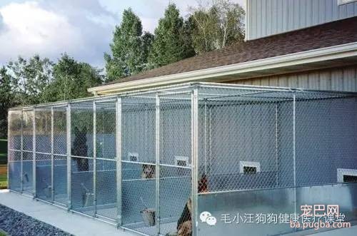犬舍狗场参考，真漂亮-22.jpeg
