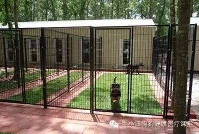 犬舍狗场参考，真漂亮-27.jpeg
