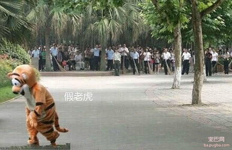 动物园怕老虎逃跑，上演杀鸡儆“虎”法，求心理阴影面积-1.jpeg