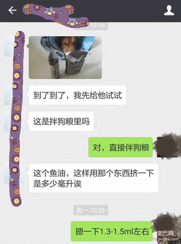 大家好，介绍一下，这是最好喝的鲨鱼油-2.jpeg