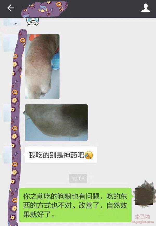 大家好，介绍一下，这是最好喝的鲨鱼油-4.jpeg