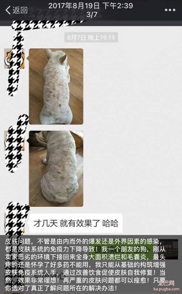 大家好，介绍一下，这是最好喝的鲨鱼油-9.jpeg