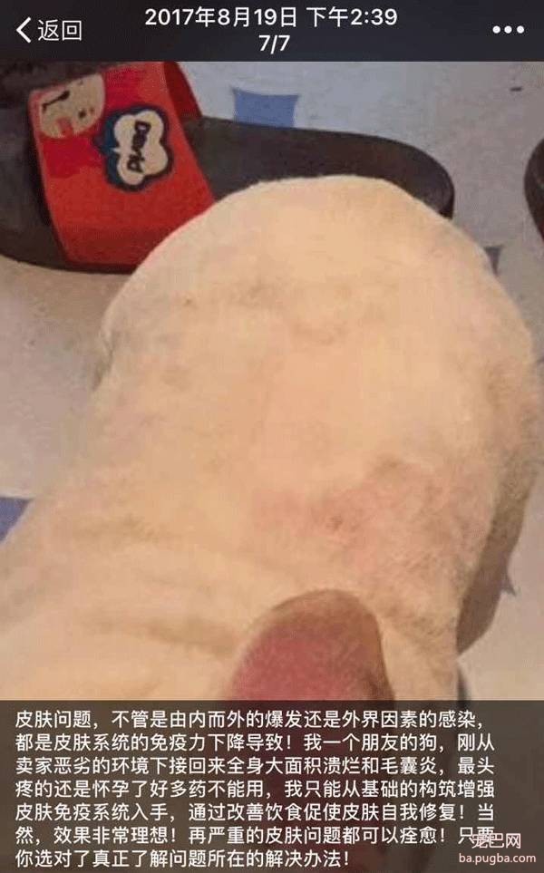大家好，介绍一下，这是最好喝的鲨鱼油-10.jpeg