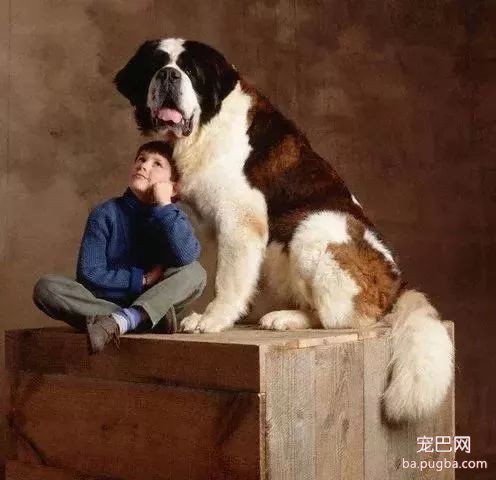 猛犬三国志-29.jpeg