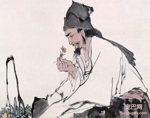 猛犬三国志-52.jpeg