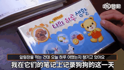 悄然兴起狗狗幼儿园？也许是宠物行业新型热门-5.gif