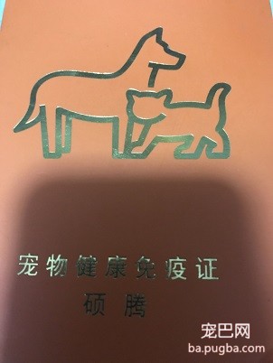 免疫证.jpg