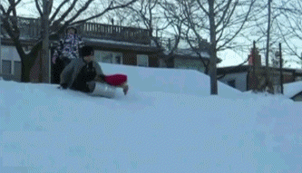 这些孩子和狗在冬天玩耍的画面会让你暖起来-3.gif