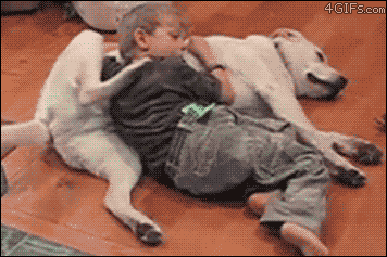 这些孩子和狗在冬天玩耍的画面会让你暖起来-9.gif
