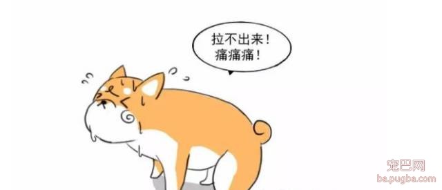 狗狗便秘了，怎么办？-1.jpeg