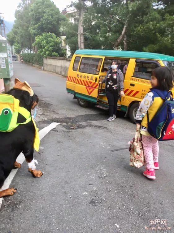 大狗背着书包吸着奶嘴想上幼儿园，结果因为“超龄”被老师拒载......-2.jpeg
