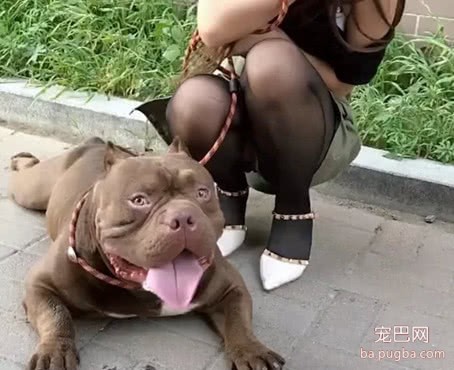 美女貌美却一直单身，看了她身边的狗狗，网友才明白了单身原因-2.jpeg