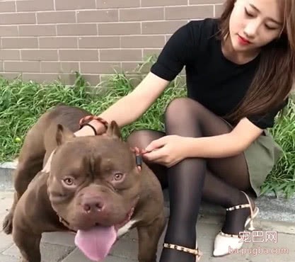 美女貌美却一直单身，看了她身边的狗狗，网友才明白了单身原因-1.jpeg