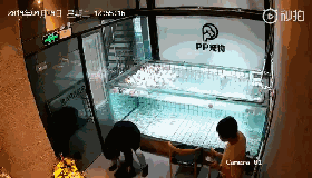 40秒淹死一条法斗，主人：你看它不会游泳！-3.gif