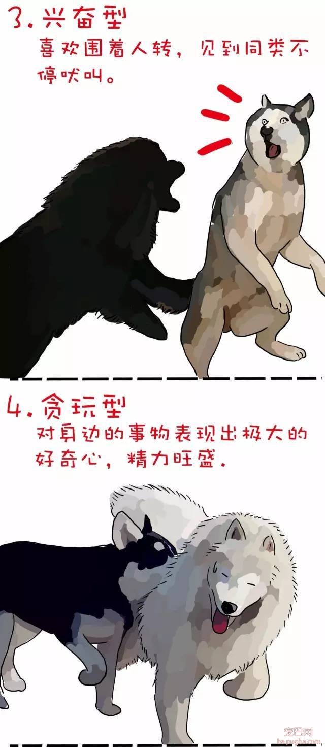 狗狗的7种性格，你家狗狗是哪种~-2.jpeg