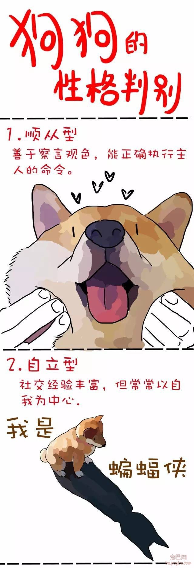 狗狗的7种性格，你家狗狗是哪种~-1.jpeg