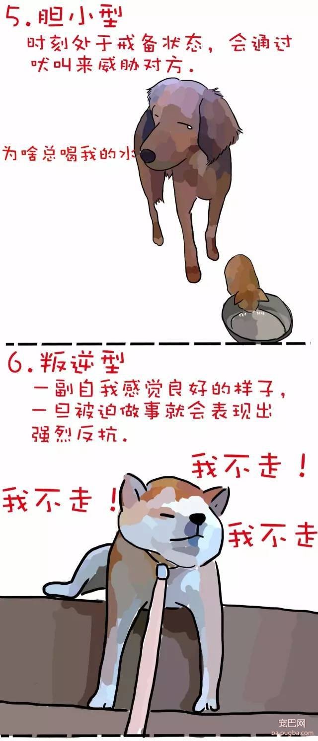 狗狗的7种性格，你家狗狗是哪种~-3.jpeg