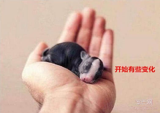 女孩外出发现窝幼崽，等了半天没人认领，带回得知身份欣喜若狂-2.jpeg
