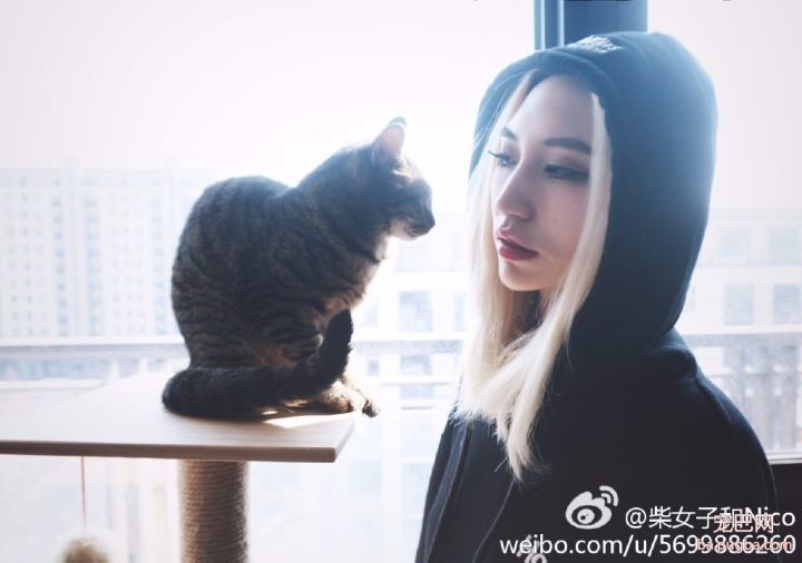 Nico，一个被猫狗耽误了的服装设计「创业女魔头」-4.jpeg