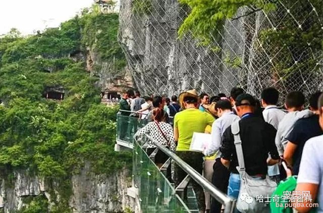 主人带爱犬去玻璃栈道，狗狗瞬间被吓瘫，主人接下来的举动暖心了-3.jpeg