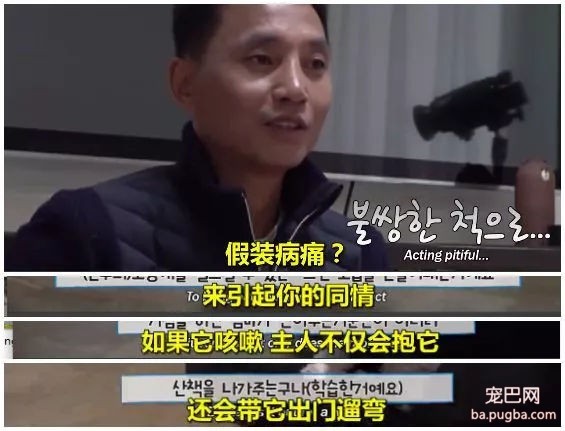 你知道狗砸为了出去玩，有多努力吗？-11.jpg