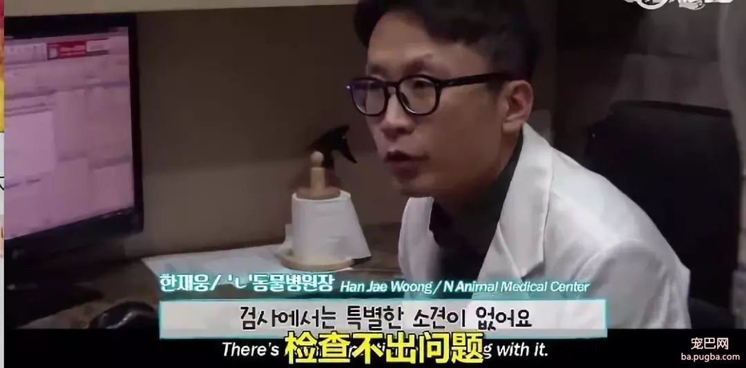 你知道狗砸为了出去玩，有多努力吗？-9.jpg