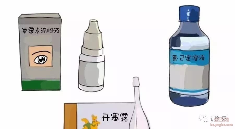 养宠常备药物，快放进急救箱吧！-1.jpeg