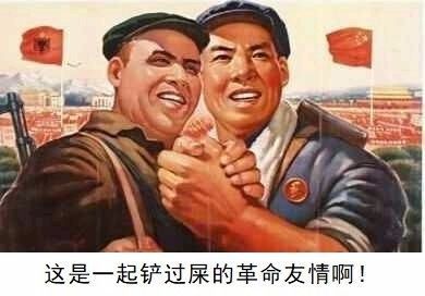 普京获赠萌犬，硬汉瞬间心软，反手就是一套亲亲抱抱举高高-1.jpeg