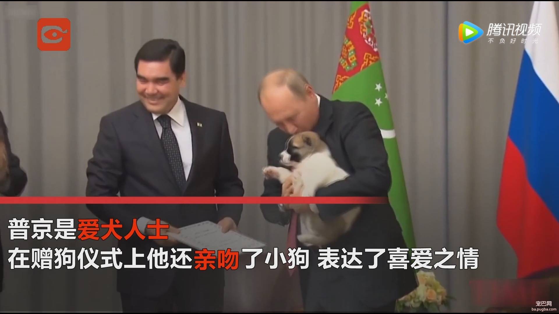 普京获赠萌犬，硬汉瞬间心软，反手就是一套亲亲抱抱举高高-4.jpeg