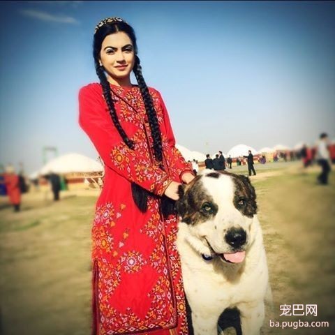普京获赠萌犬，硬汉瞬间心软，反手就是一套亲亲抱抱举高高-5.jpeg