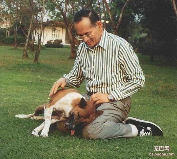 普京获赠萌犬，硬汉瞬间心软，反手就是一套亲亲抱抱举高高-12.jpeg