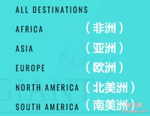 为了带狗狗环游世界，他们亲手造了一辆房车-19.jpg