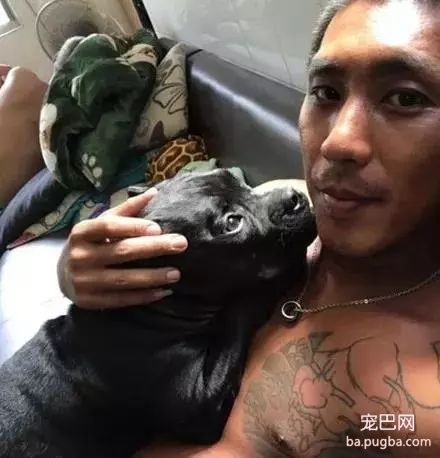 当狗狗来了“大姨妈”...丧心病狂的主人们纷纷PO出邪恶照！-3.jpeg