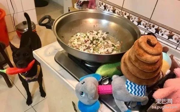 麻麻在做饭，狗砸叼着一个巨大的鸡腿就过来了，这是在暗示...-2.jpeg
