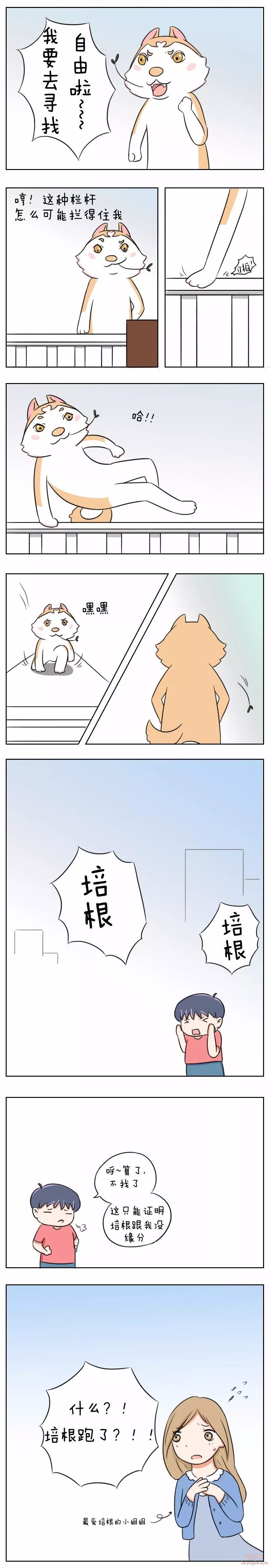 给大家介绍一下，这是我们的新朋友帅帅-2.jpeg