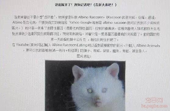 猪鼻子 狗爪子 狐狸尾巴 兔眼睛 宜春这动物14年来专家都不知它是谁-6.jpeg
