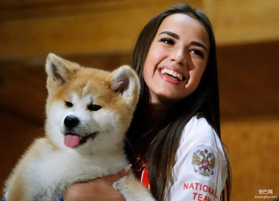 日本秋田犬面临灭绝？这应该是八公都没有料到的事...-7.jpeg