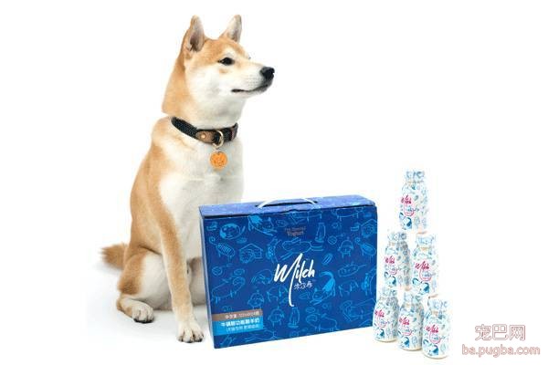 蓝天、碧湖、草地、丛林，让狗子尽情奔跑！2017年BLUE杯月湖宠物总动员报名了！-17.jpeg