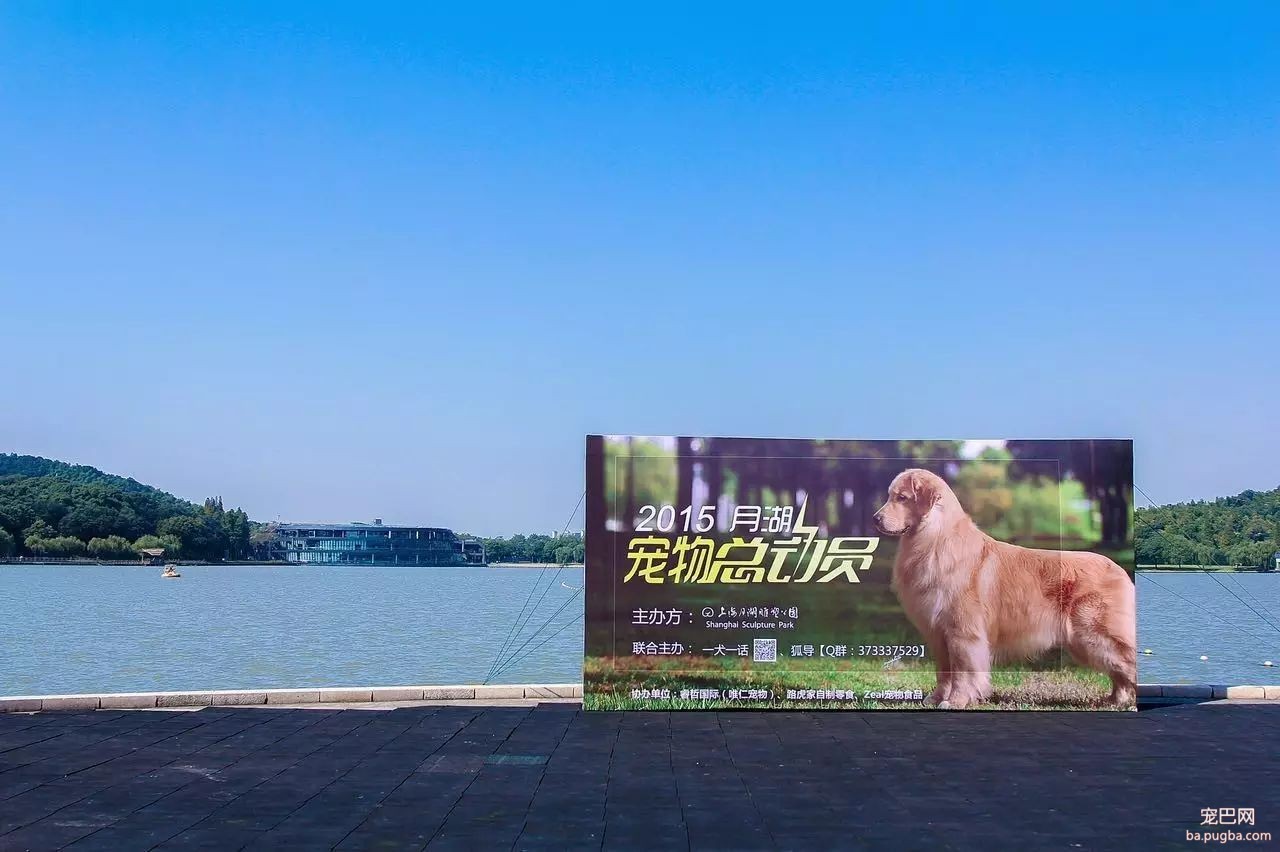 蓝天、碧湖、草地、丛林，让狗子尽情奔跑！2017年BLUE杯月湖宠物总动员报名了！-24.jpeg
