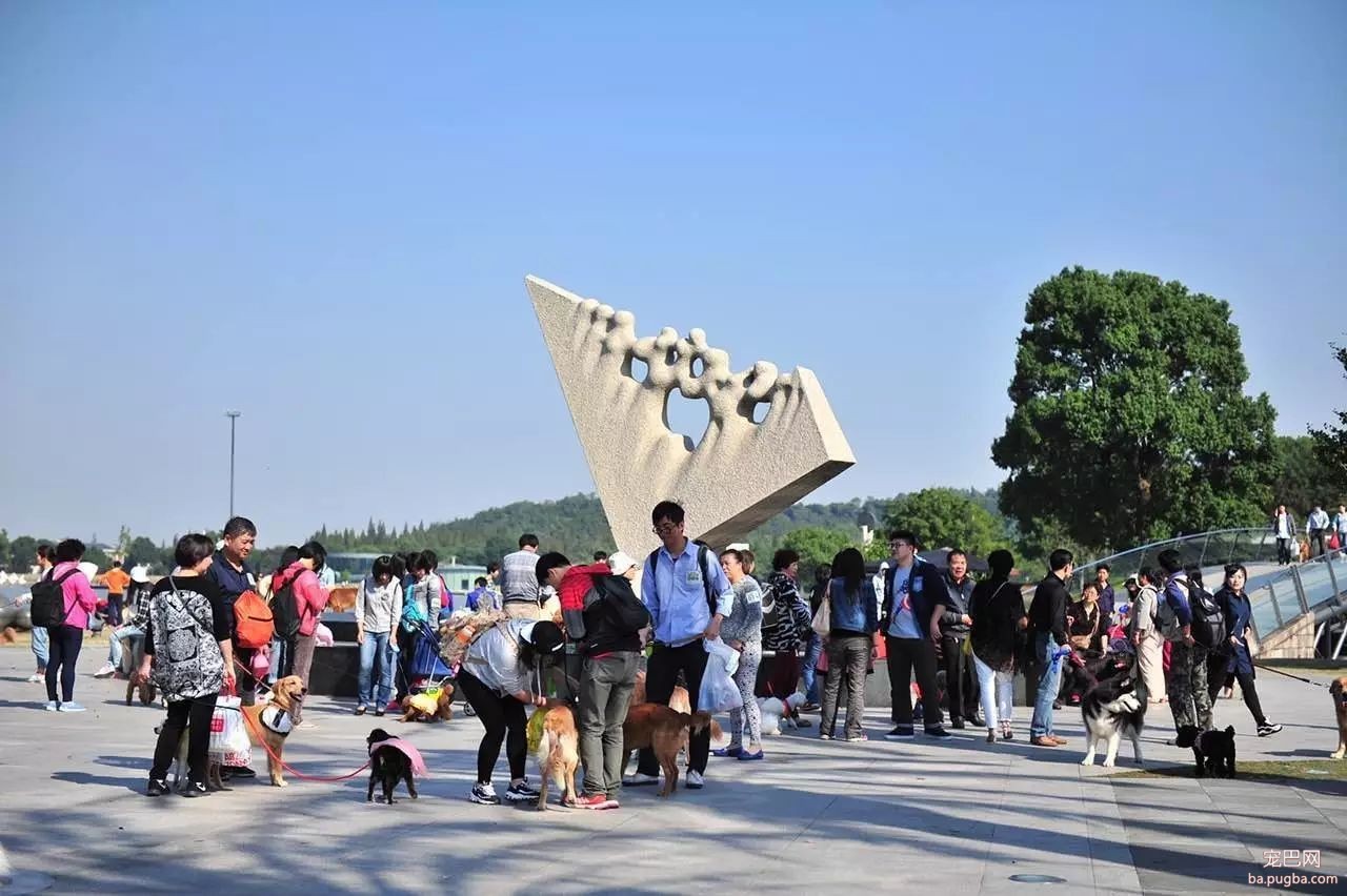 蓝天、碧湖、草地、丛林，让狗子尽情奔跑！2017年BLUE杯月湖宠物总动员报名了！-28.jpeg