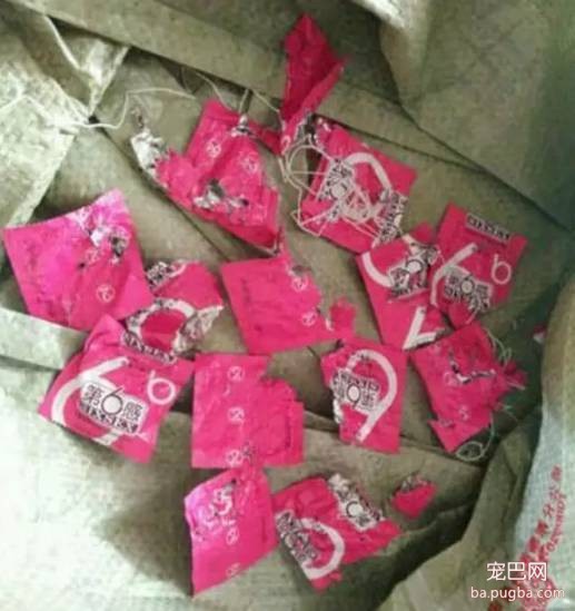 养了只不安分的狗，每天起个床都各种心惊胆战...-6.jpeg