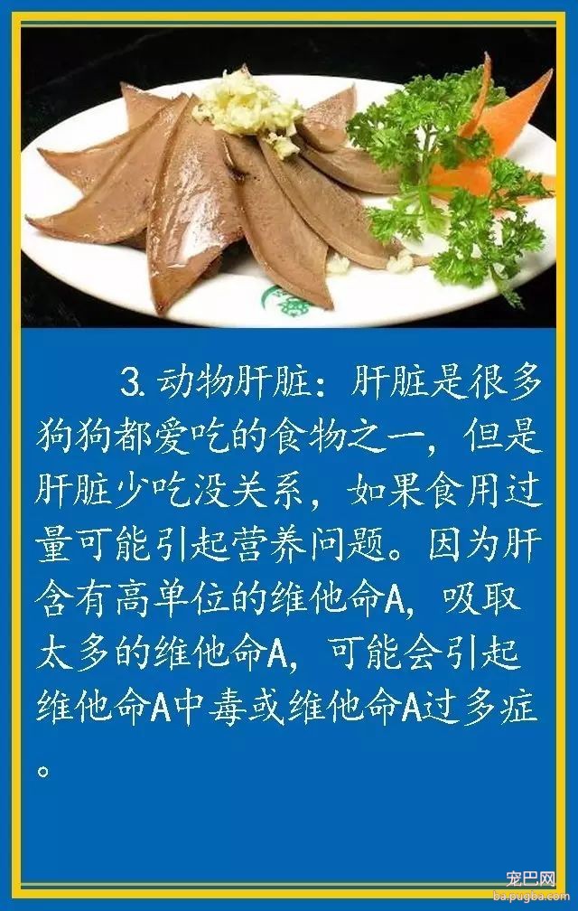 宠物狗饮食禁忌-3.jpeg
