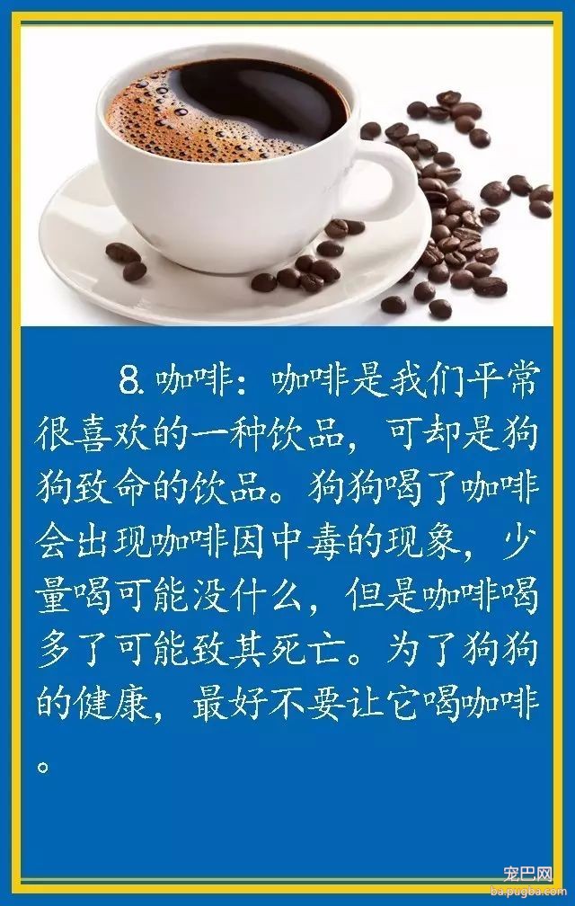 宠物狗饮食禁忌-8.jpeg