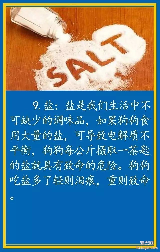 宠物狗饮食禁忌-9.jpeg
