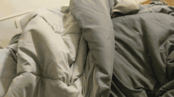 不是狗狗需要我，而是我们需要他，你信吗？-6.gif
