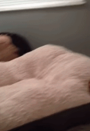 养狗狗最幸福的12个瞬间，笑着笑着就哭了-6.gif