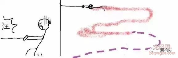 不敢养边牧，怕被说智商不如狗……-16.jpeg