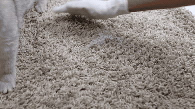 Furr off手套：养宠家庭去毛黑科技，首周下单88元用一年！-10.gif