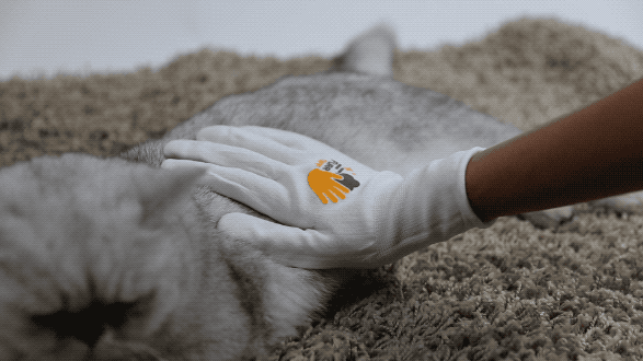 Furr off手套：养宠家庭去毛黑科技，首周下单88元用一年！-8.gif